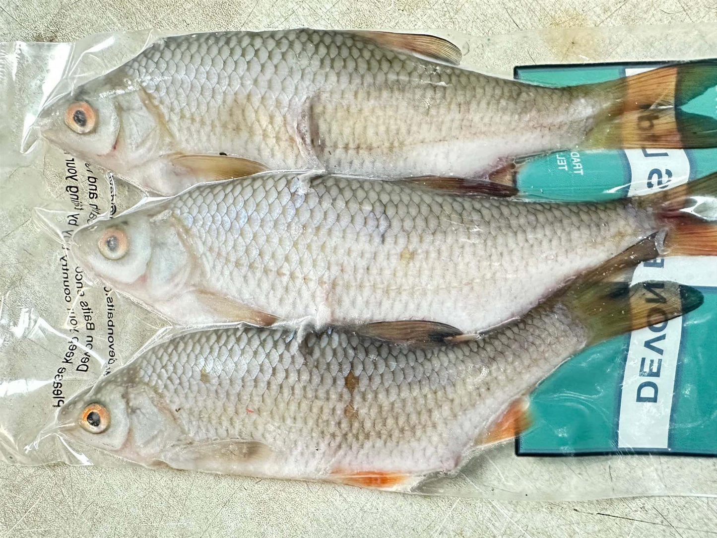 Devon Baits Roach x3