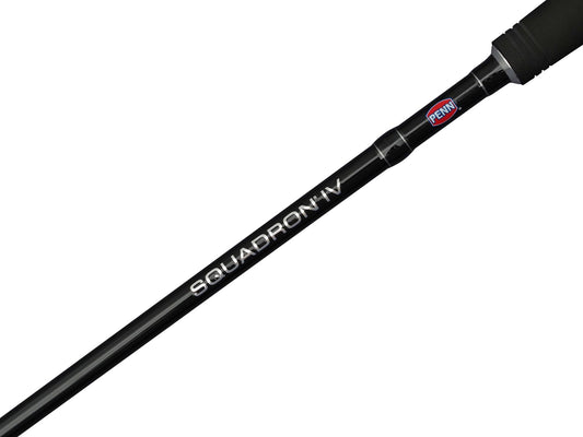 Penn Squadron IV Inshore Spin