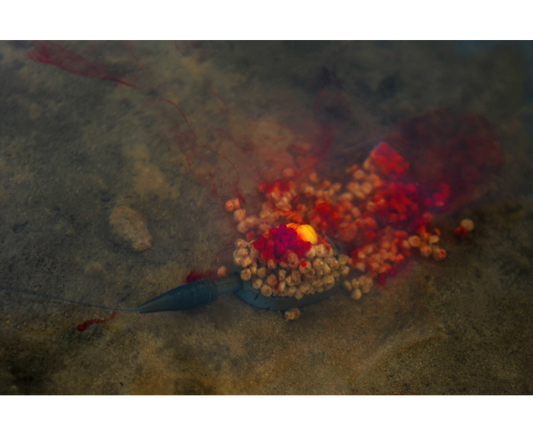 Sonubaits Lava Rocks