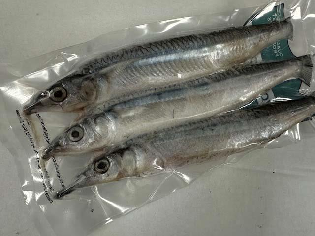 09 Devon Baits Half Beaks