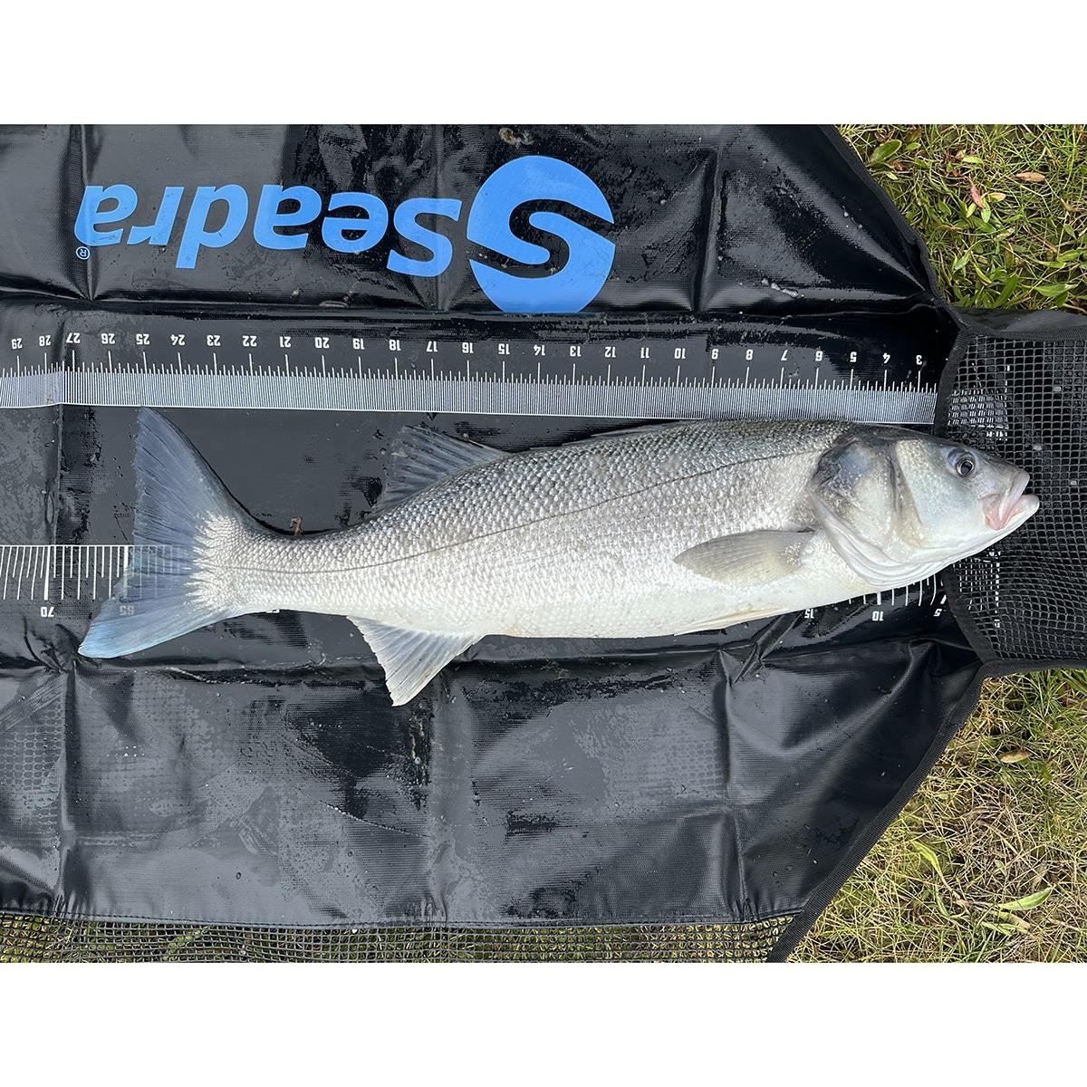 Seadra Weigh & Measure Sling Specimen 120cm