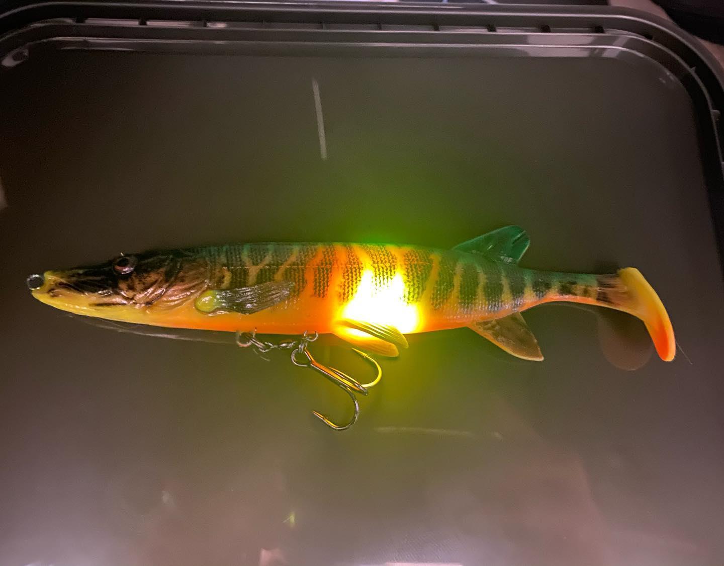 Bite Light