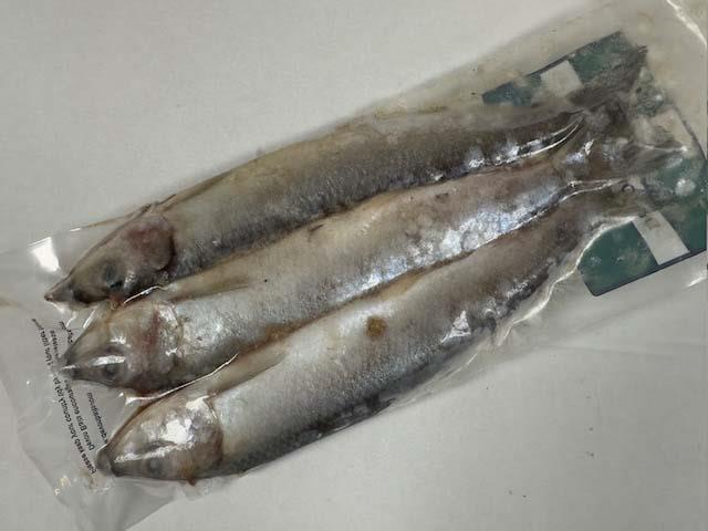 11 Devon Baits Herring