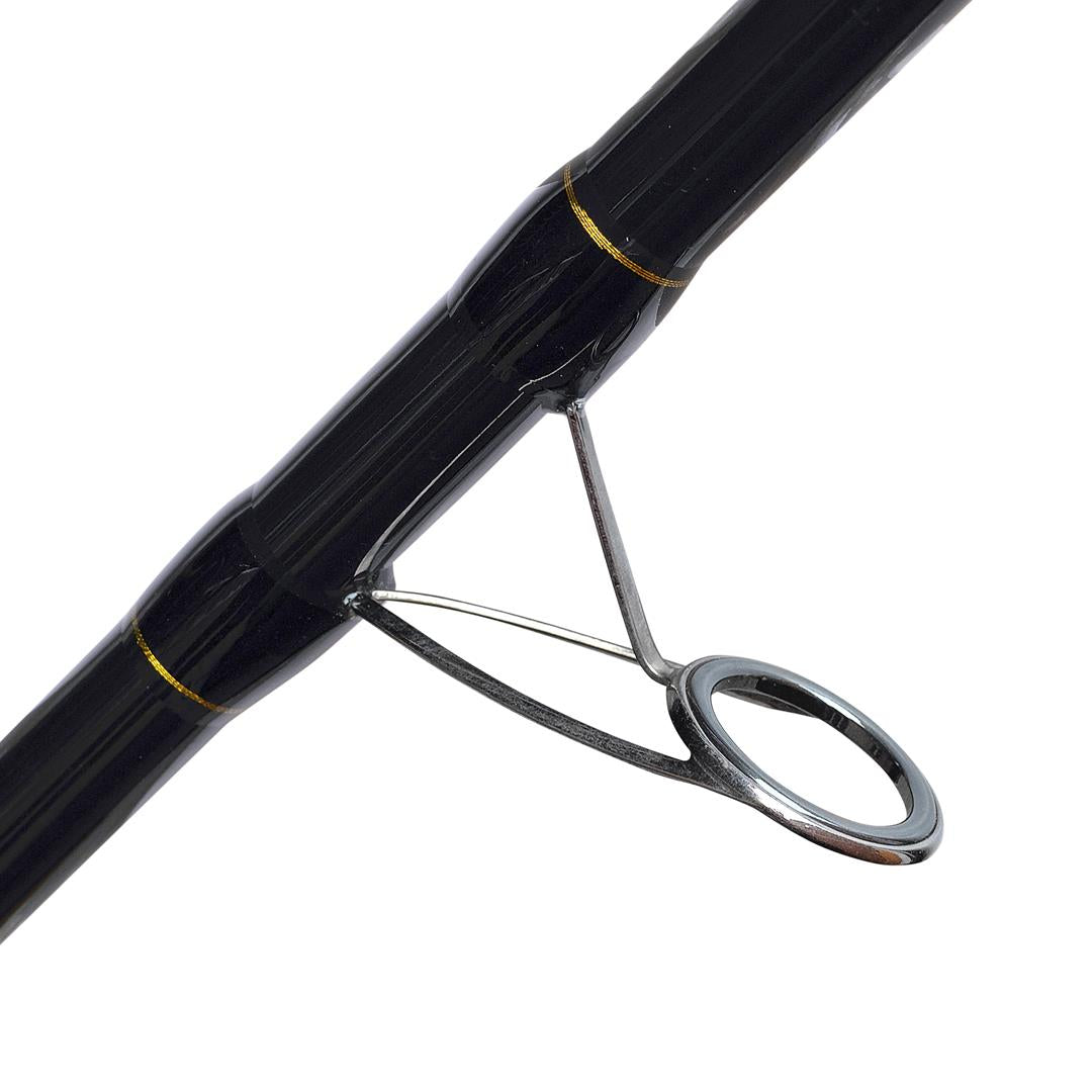 TronixPro Exodus Aurum 4.12m 100-200g Competition Tip