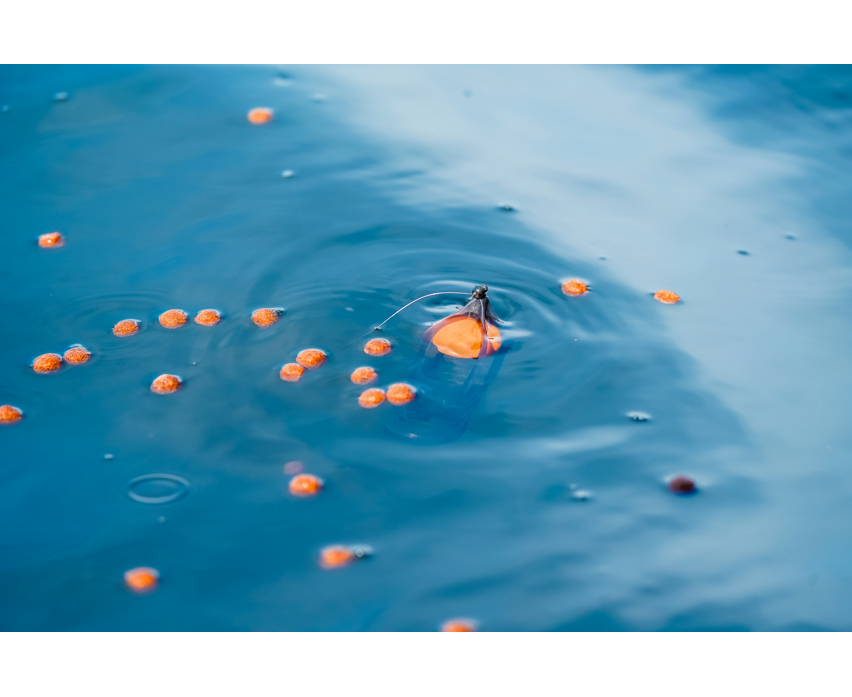 Korum Surface Feeder Float