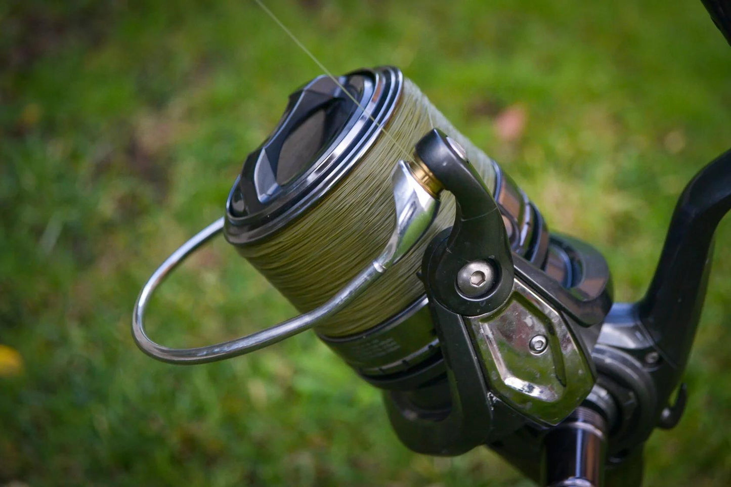 Katran Synapse Carp Fishing Line