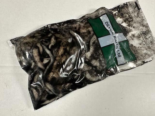 13 Devon Baits Cuttle Fish