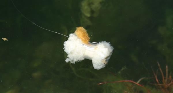 Nash Small Bread Bomb