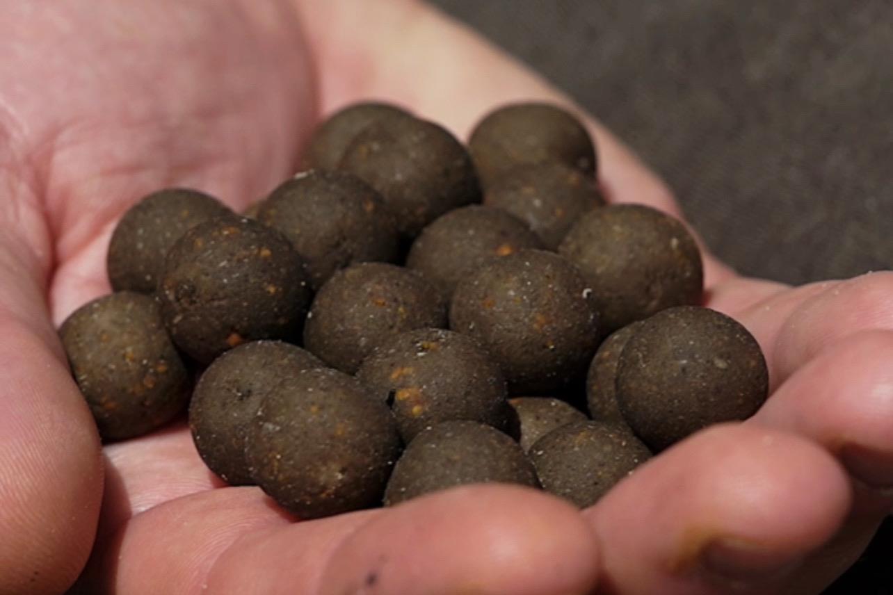 Elevate Baits Garlic Infusion Boilies