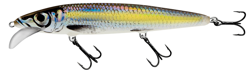 Salmo Limited Edition Whacky Floating 15cm