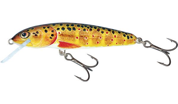 Salmo Minnow Sinking Crankbait 5cm