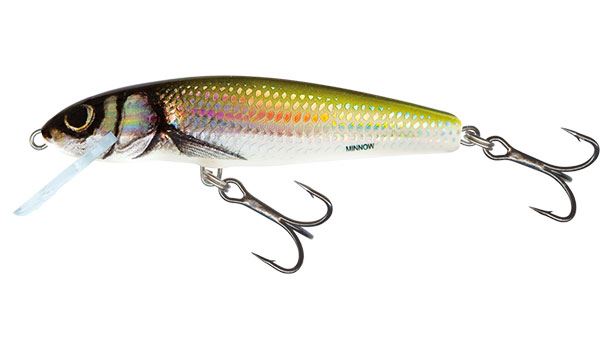 Salmo Minnow Floating Crankbait 6 & 7cm