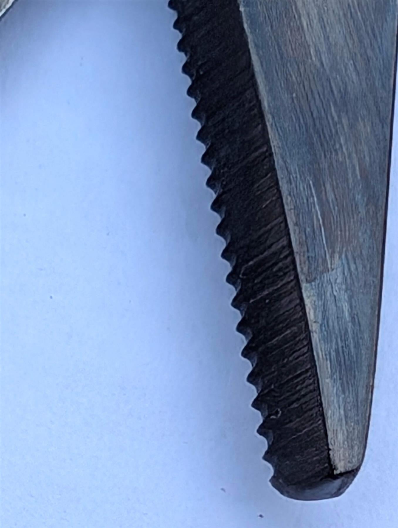 Katran Braid Scissors