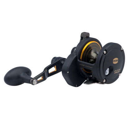Penn Fathom 25-N Lever Drag 2 Speed