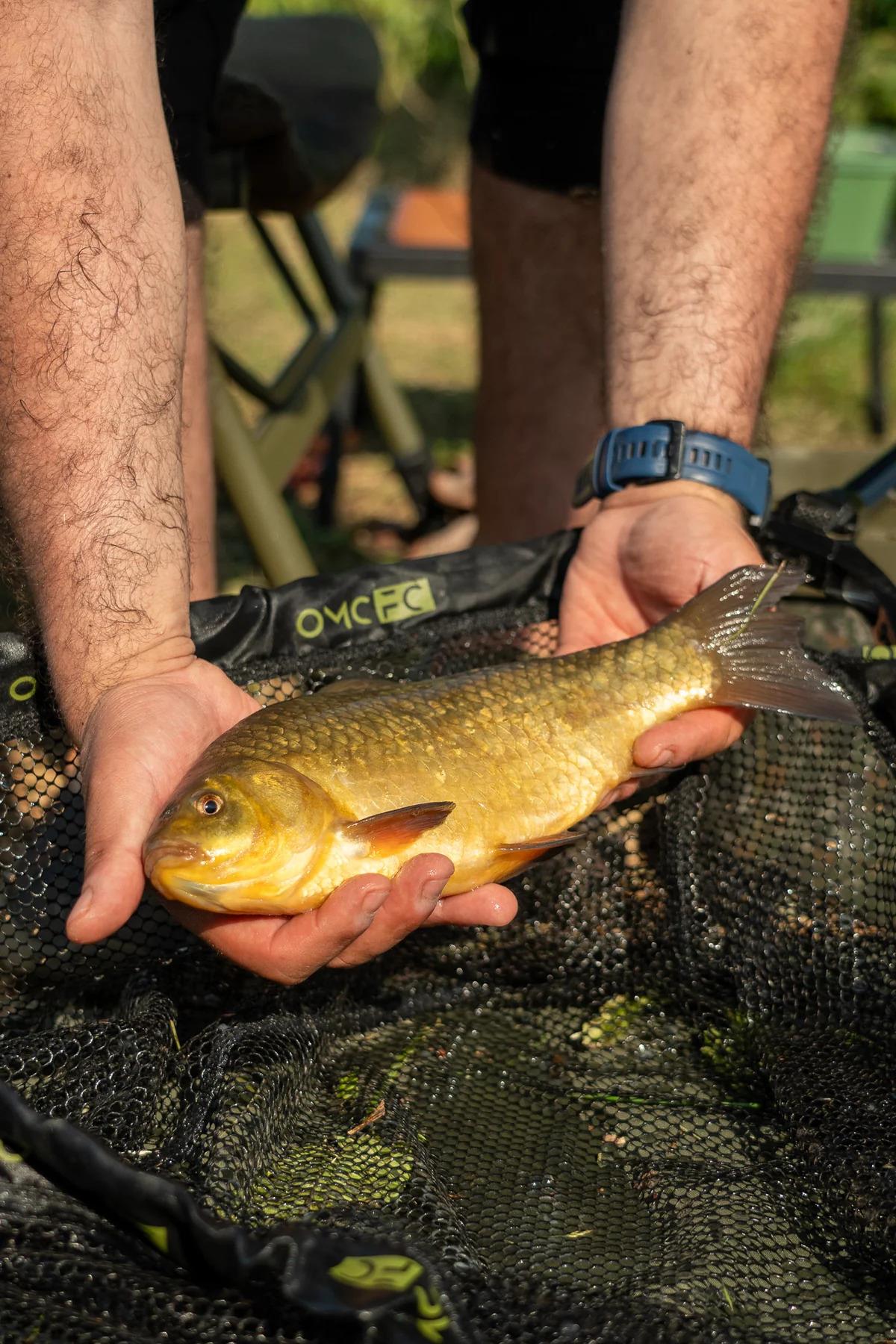 One More Cast FC Net & Mat Combo