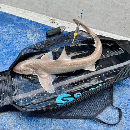 Seadra Weigh & Measure Sling 80cm