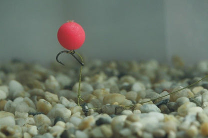 Enterprise Eternal Boilies