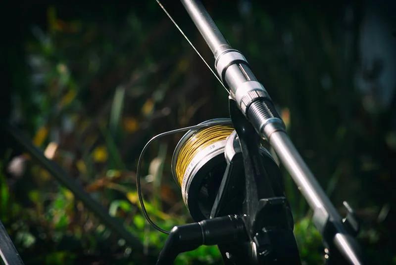 Katran Synapse Carp Fishing Line