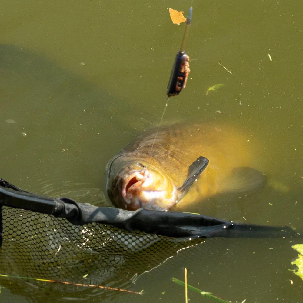 One More Cast FC Paella Groundbait 750g