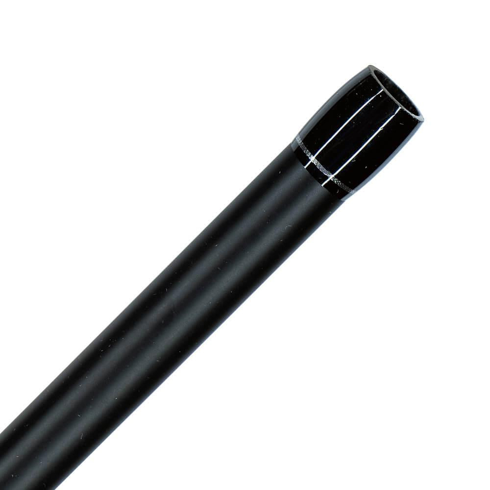 Axia Pegasus Beach & Pier 10′ 3-6oz