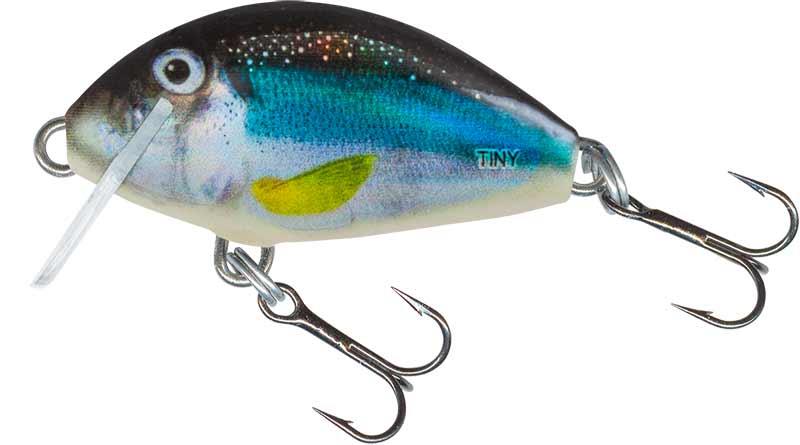 Salmo Tiny Bug Floating