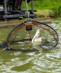 Frenzee FXT Landing Net - Scoop Net
