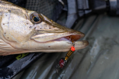 One More Cast FC  Lure Kit