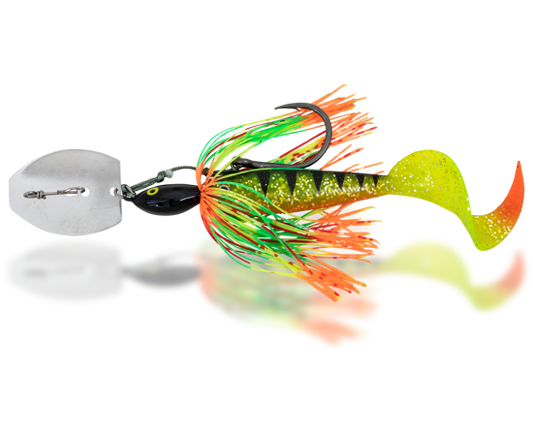 Black Cat Cat Chatter