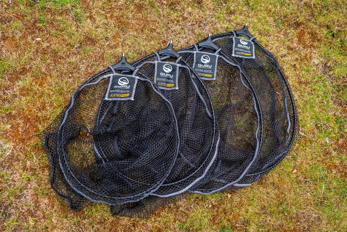 Guru Latex Net