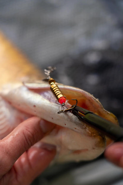 One More Cast FC  Lure Kit