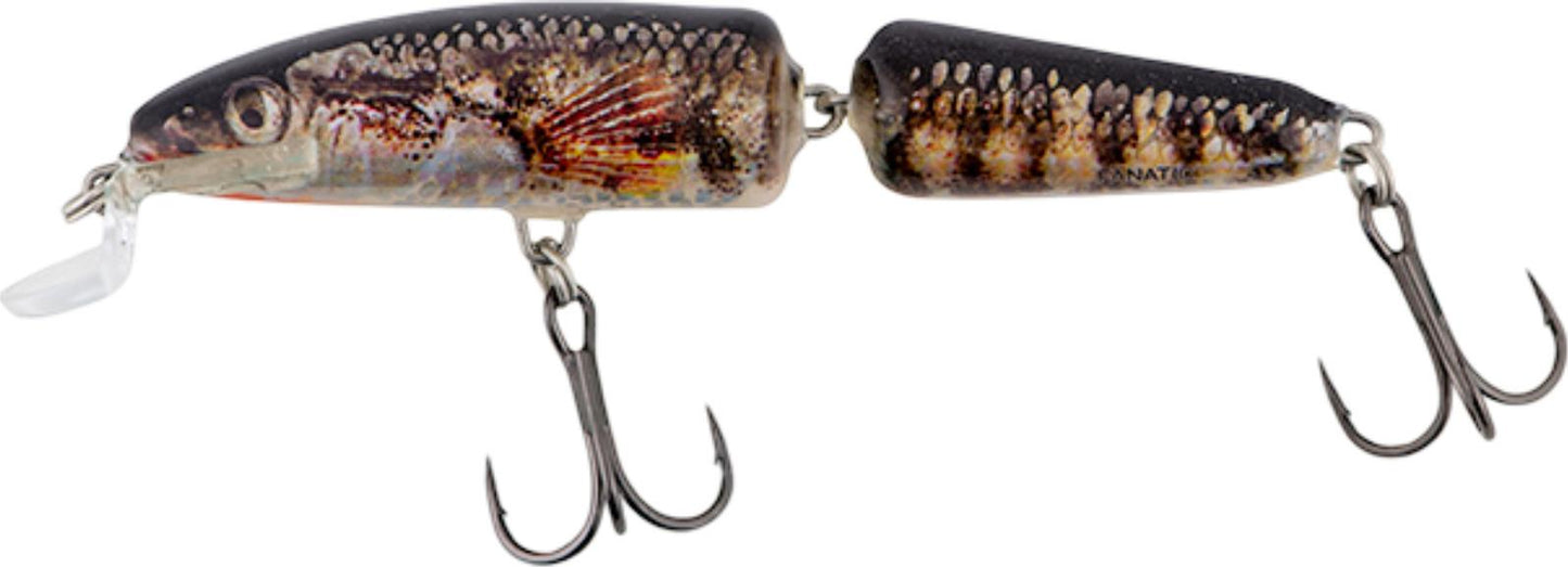 Salmo Fanatic Floating