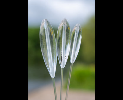 Zebco Magic Sbiro Slow Sink Clear