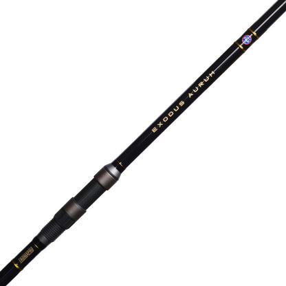 TronixPro Exodus Aurum 4.12m 100-200g Competition Tip