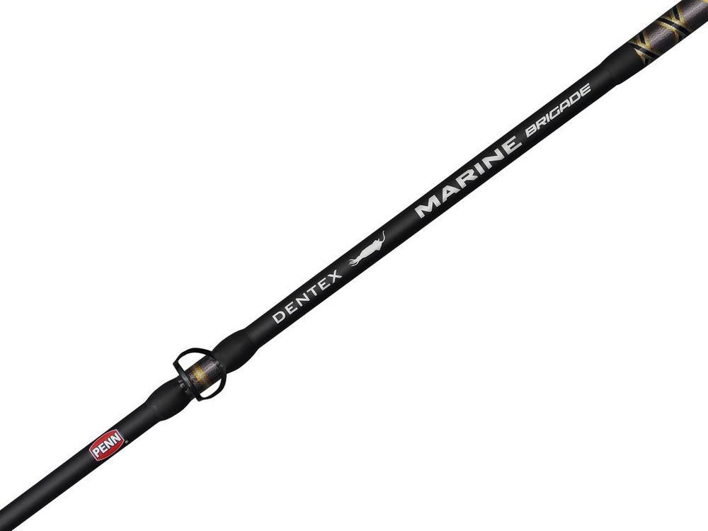 Penn Marine Brigade Dentex 6'3" 50-150g