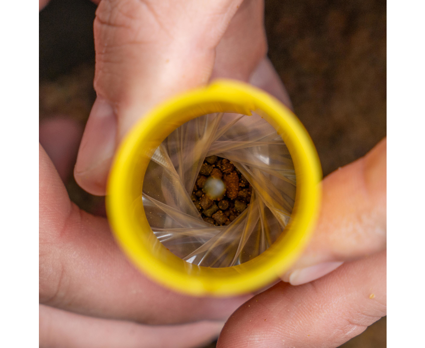 Avid Transfer Solid Bag System