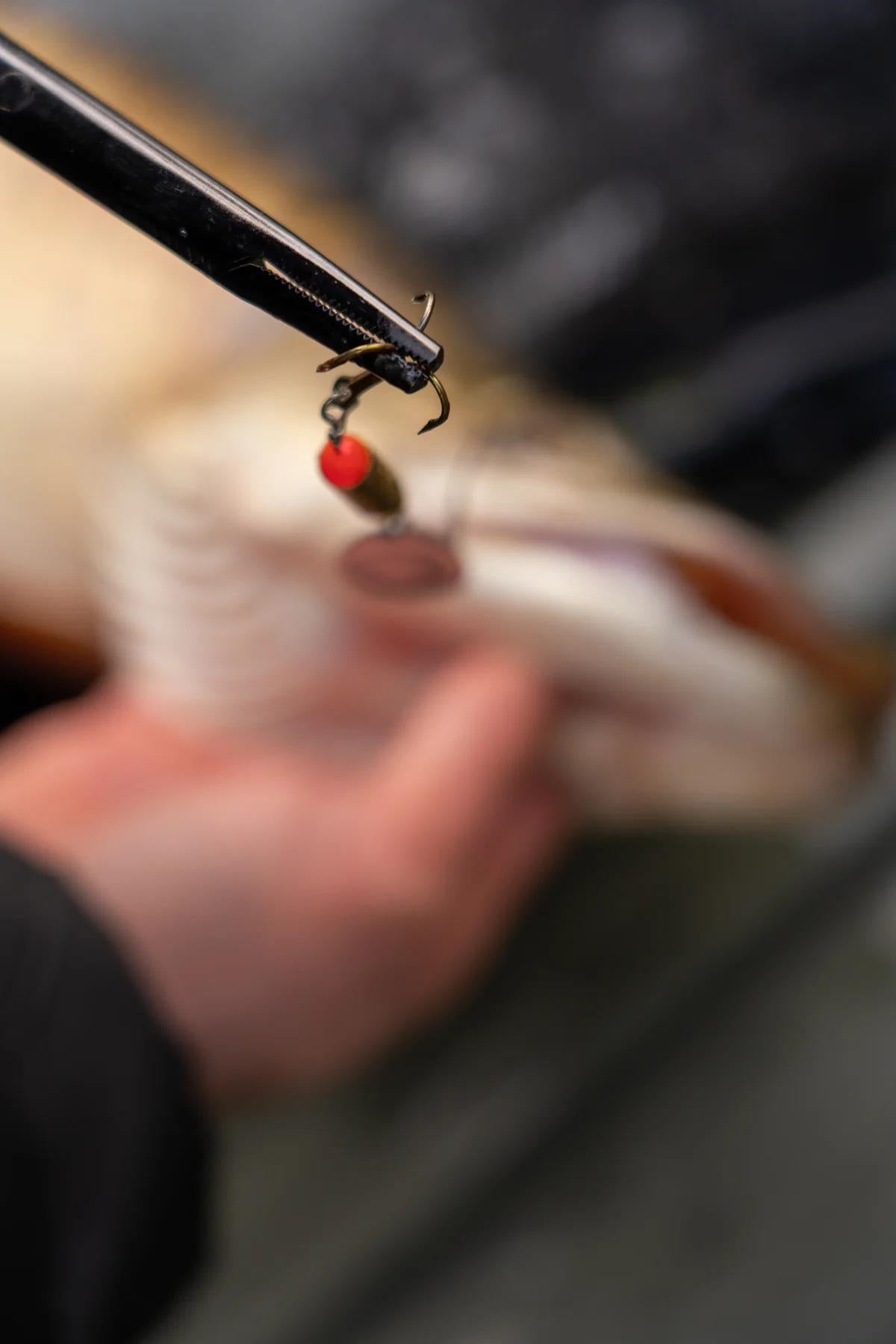 One More Cast FC  Lure Kit