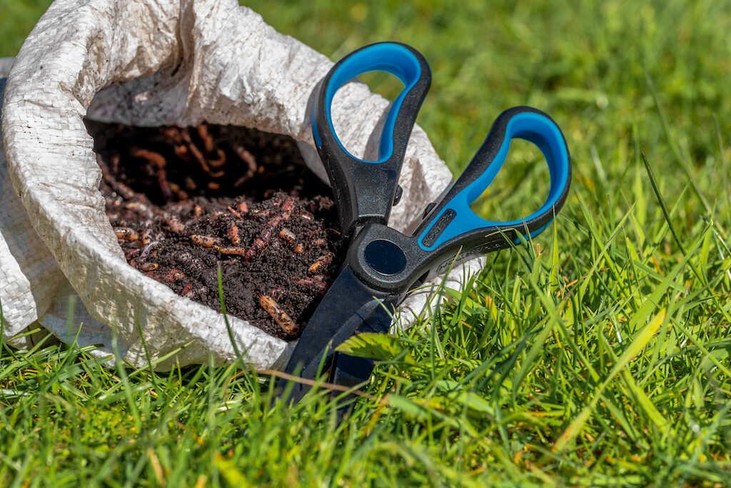 Preston Worm Scissors