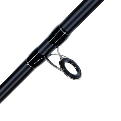 Axia Pegasus Beach & Pier 10′ 3-6oz