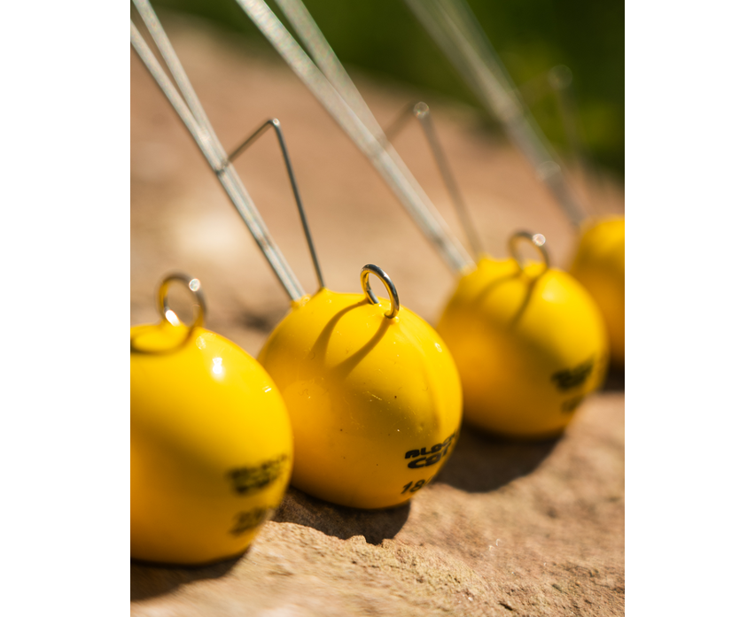 Black Cat Ball Dead or Alive System