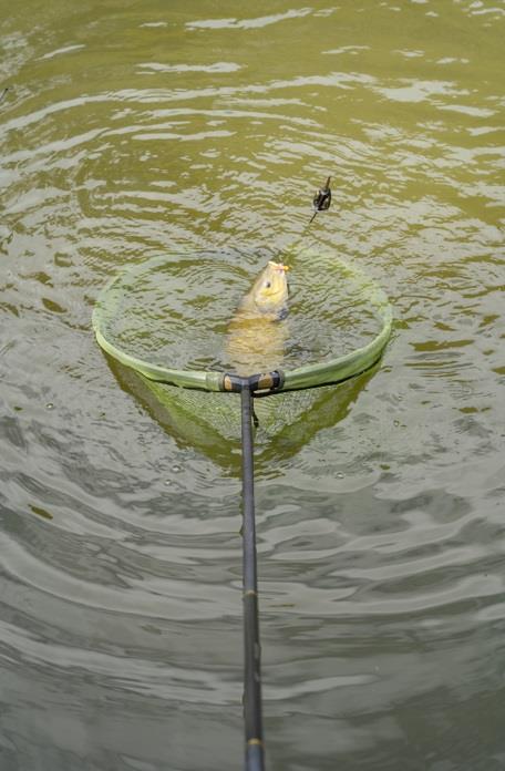 Korum Power Folding Spoon - Latex 34"