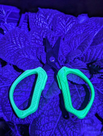 Katran Braid Scissors