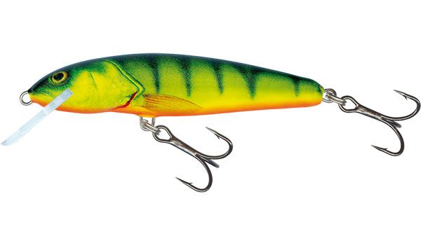 Salmo Minnow Floating Crankbait 5cm