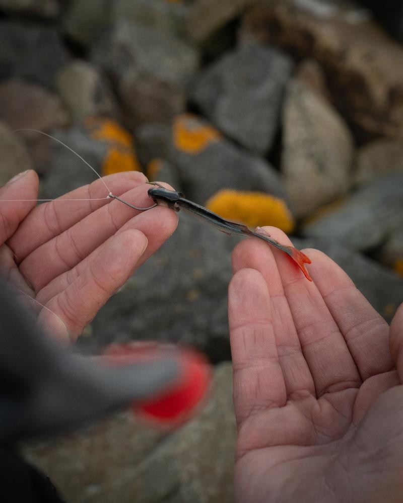 Fox Rage Ultra Natural Fillet