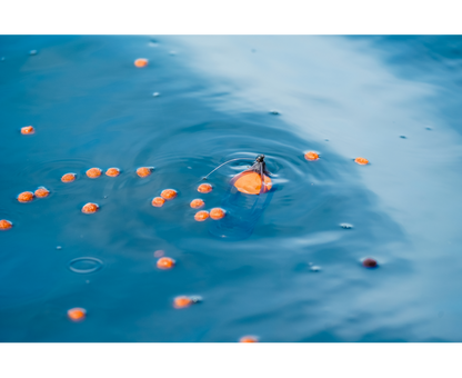 Korum Surface Feeder Float