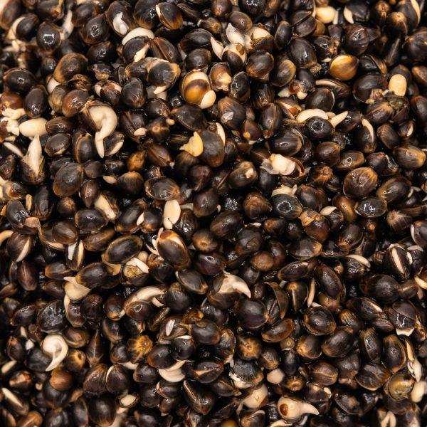 Parker Baits Shelf Life Particle Pure Hemp