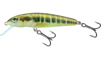 Salmo Minnow Floating Crankbait 5cm