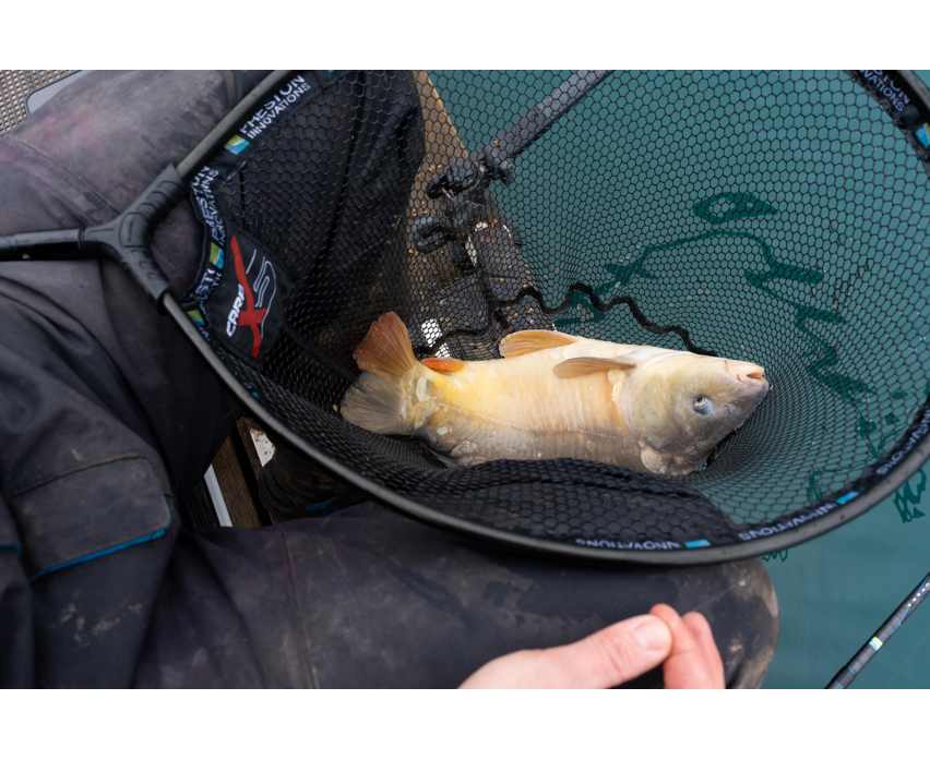 Preston Carp XS Landing Net