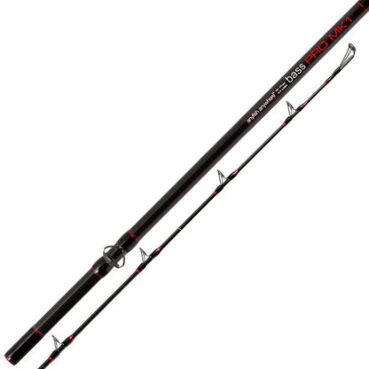 Anyfish Anywhere Bass PRO 12'6"