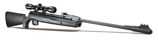 Remington Express Synthetic .22 with Scope