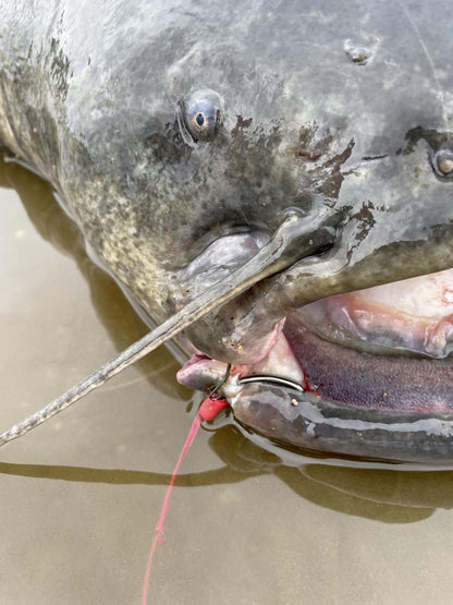 Black Cat Zeus Universal Leader / Fishing Line